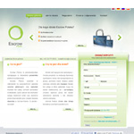 projektowanie stron katowice