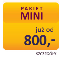 tworzenie stron katowice