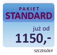 twprojektowanie stron katowice